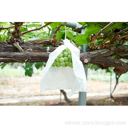Non Woven Fruit Cover